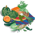 Recetas de Verduras y Ensaladas