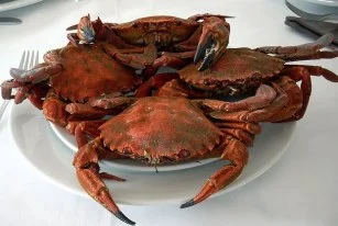 Nécoras cocidas