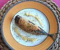 Caballa con salsa de ajos